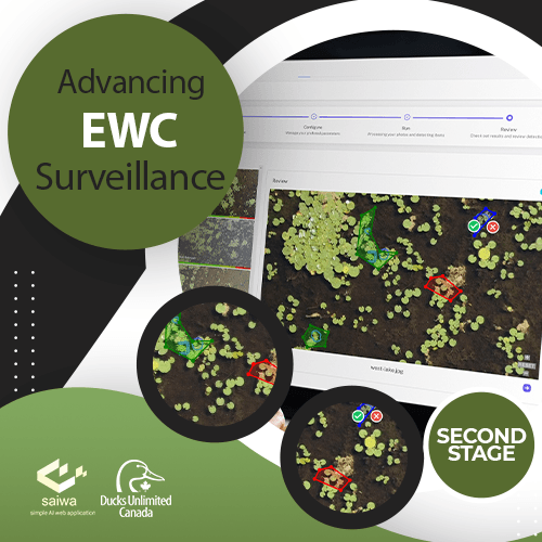 Advancing Detection and Surveillance of European Water Chestnut - Second Stage