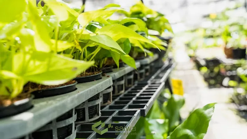 Why proper lighting is crucial for plant growth in greenhouses?