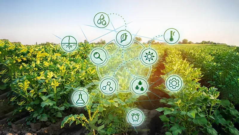 Predictive Analytics in Agriculture | Fields of Insight