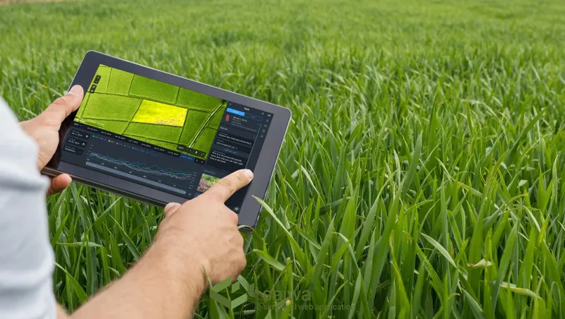 Real-Time Crop Monitoring