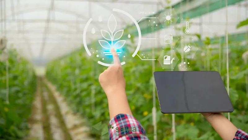 Benefits of Implementing IoT in Greenhouse Farming