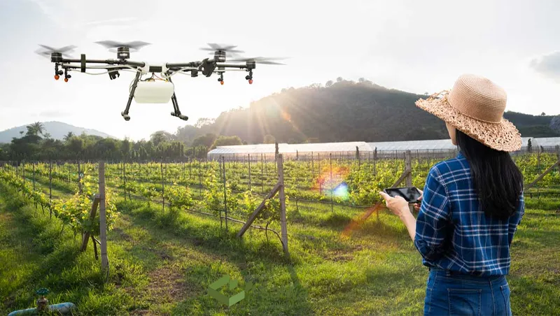 Drone use cases in agriculture: