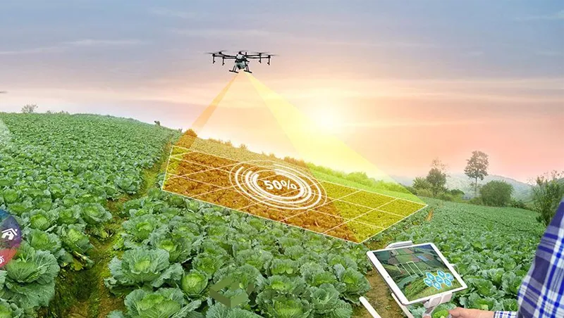 Artificial Intelligence in Precision Farming