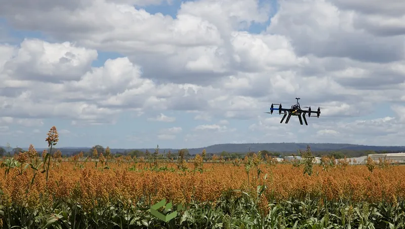 The role of drones in modern agriculture