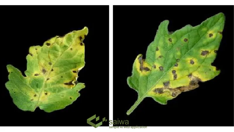 Improving the performance of leaf disease detection using machine learning with features of leaf images